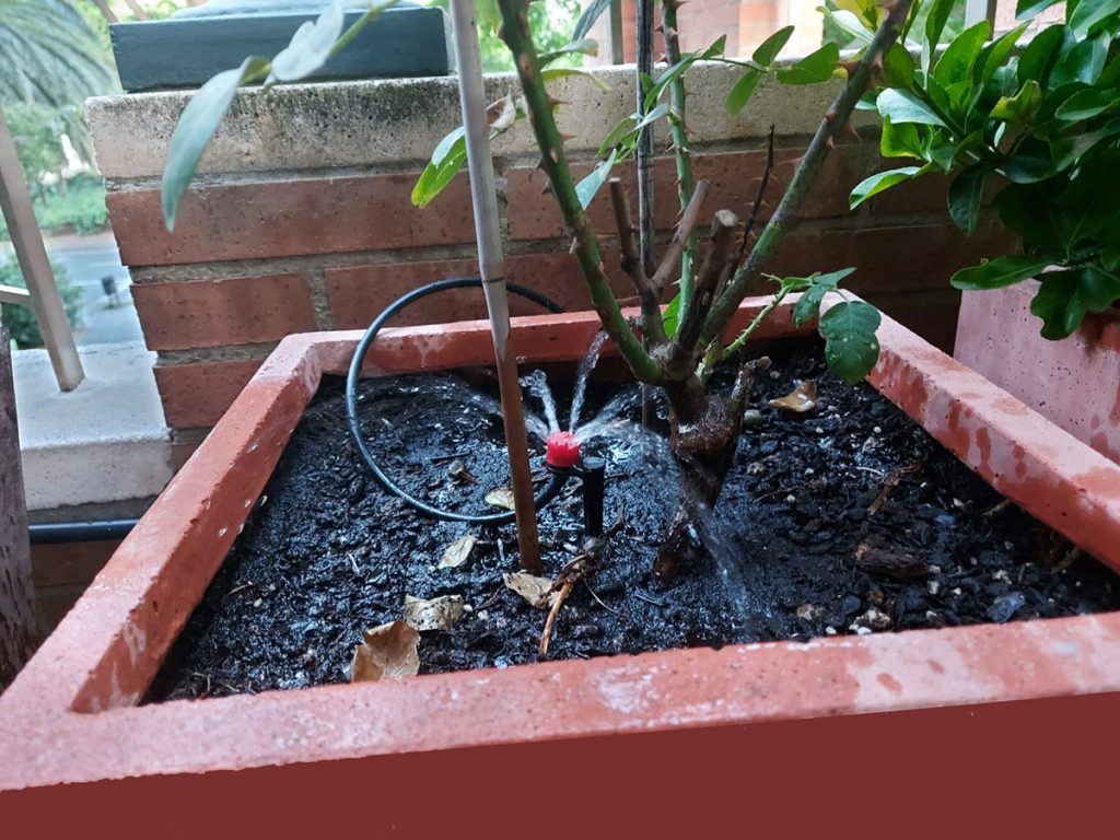 Jardinería Manitas Maresme - Riego automatizado